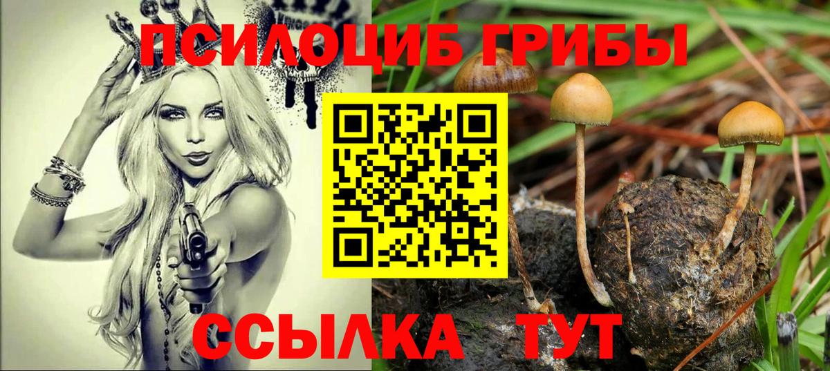 Псилоцибиновые грибы GOLDEN TEACHER Волоколамск