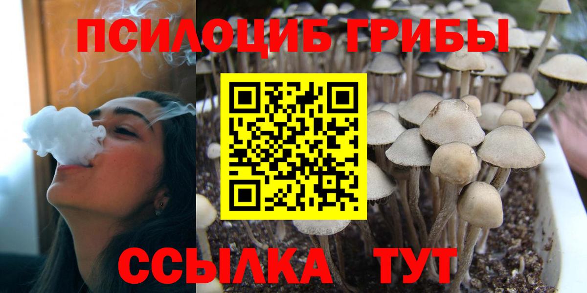 Псилоцибиновые грибы Magic Shrooms  Вход с VPN  Волоколамск 